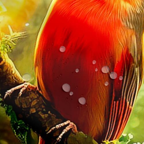 Erosebridal Cardinal Bird Shower Curtain Set Red 72x72