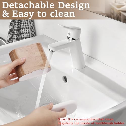 Chintu Toothbrush Holder with Divider and Toothpaste Stand