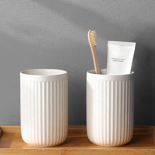 BSDISP 2Pcs Ceramic Toothbrush Holder Set