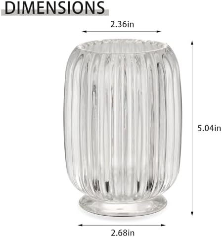VanEnjoy Clear Glass Toothbrush Holder with Stripe Design