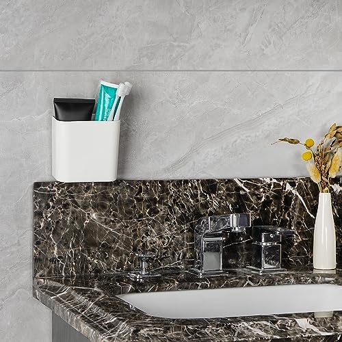 Multipurpose Wall Mount Toothbrush Holder with Cover White