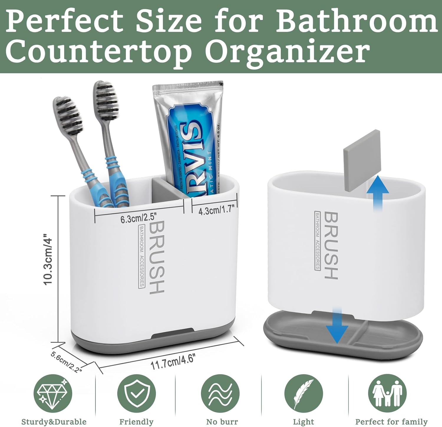 Chintu Toothbrush and Toothpaste Holder with Divider
